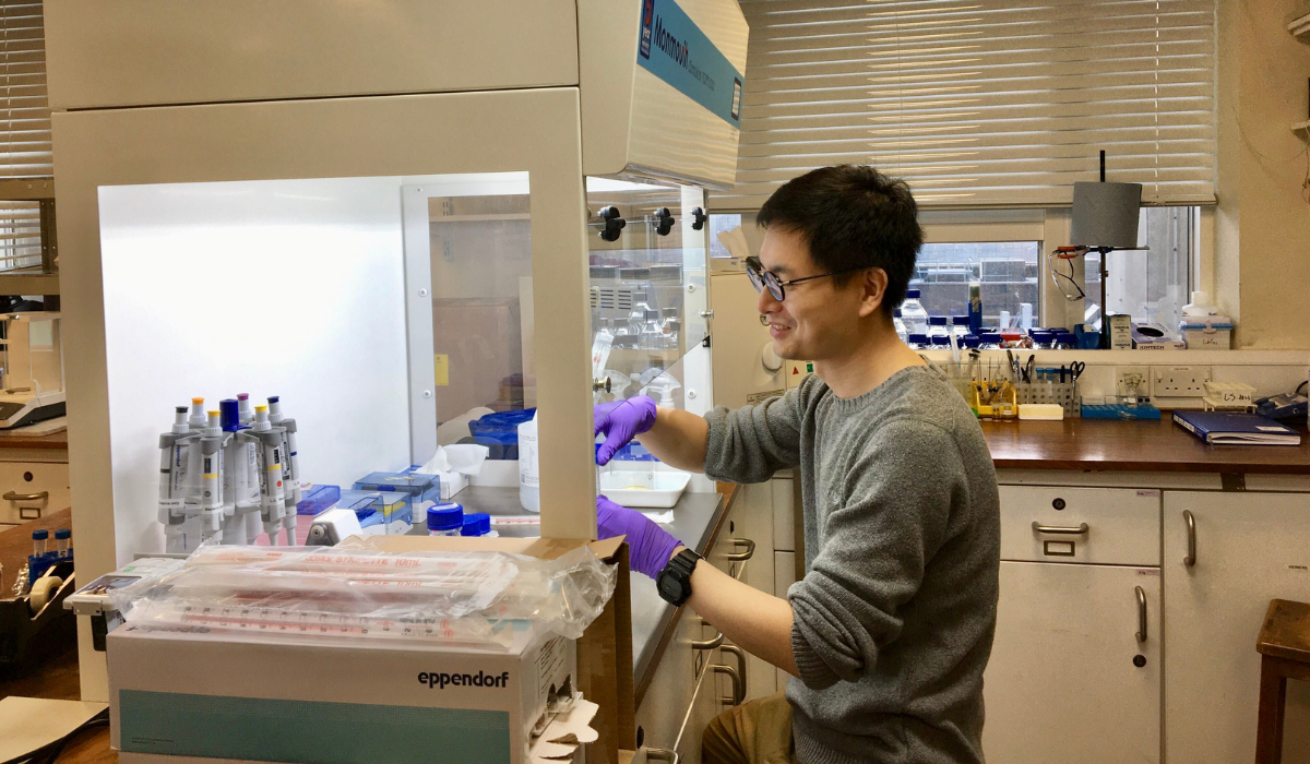 Dr Lin Su working in lab