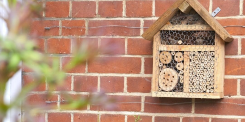 Bee hotel at Lucy Cavendish College